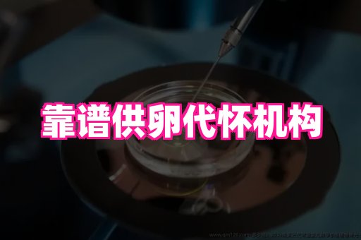 供卵机构代生包性别_代生双胞胎_速看!